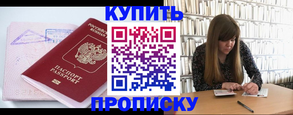 пропишу в квартире в Вязьме